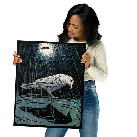 White Raven Reflection 16x20 Metal print